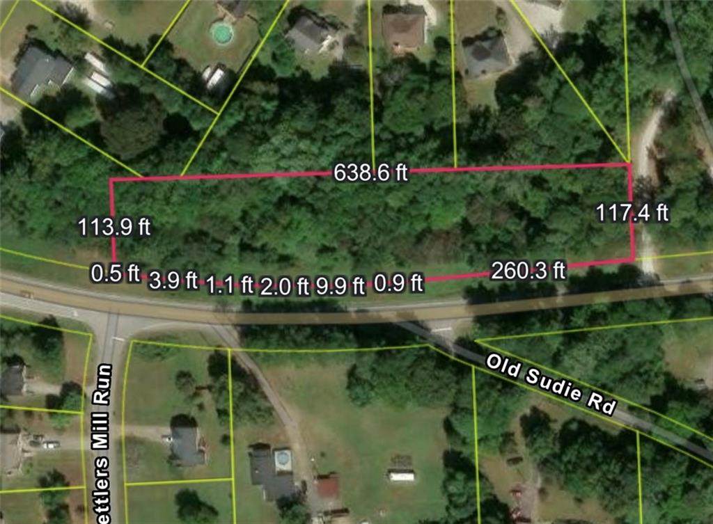 00 Hiram Sudie Road - Photo 1