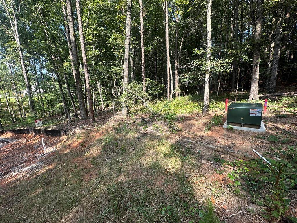 1562 Ewing Chapel Road - Photo 1