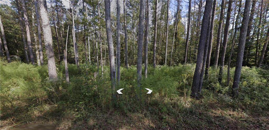 0 Holly Road Tract 3 - Photo 1