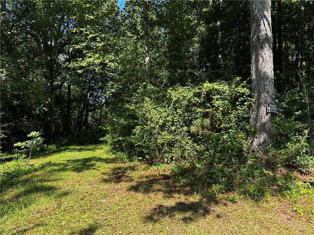 00 Overbrook Drive - Photo 1