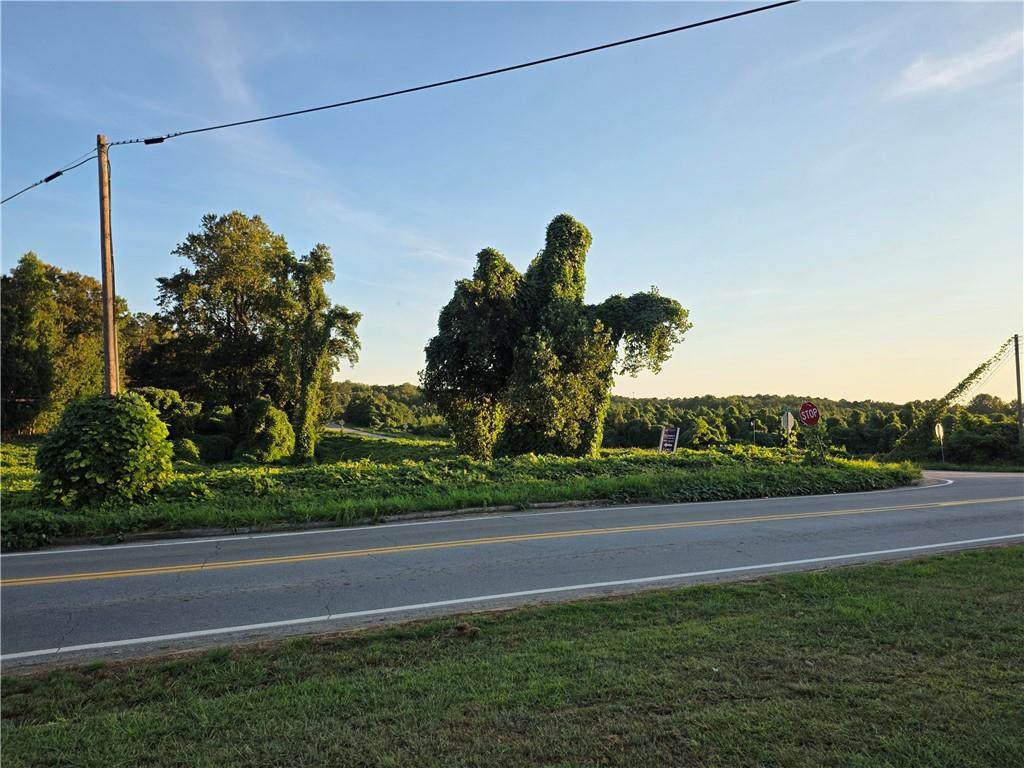 . Lower Burris Road - Photo 1