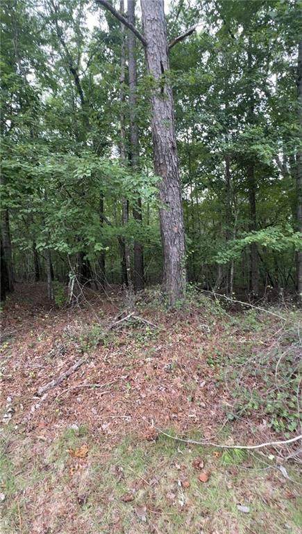 5850 Double Birch - Photo 1