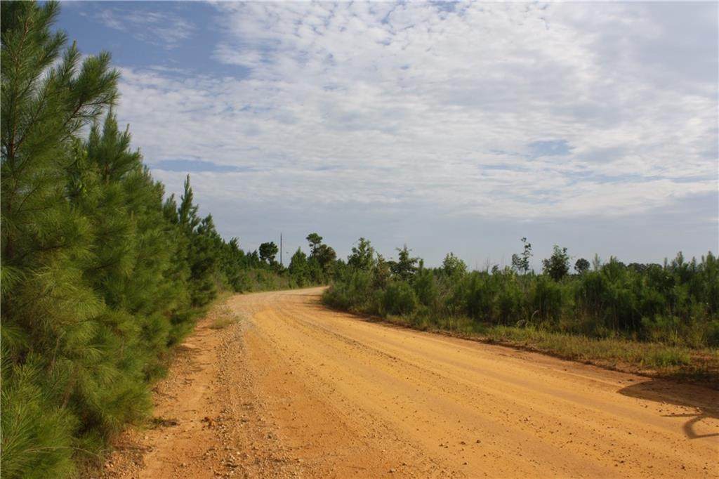 0 Balerma Church Road - Photo 1