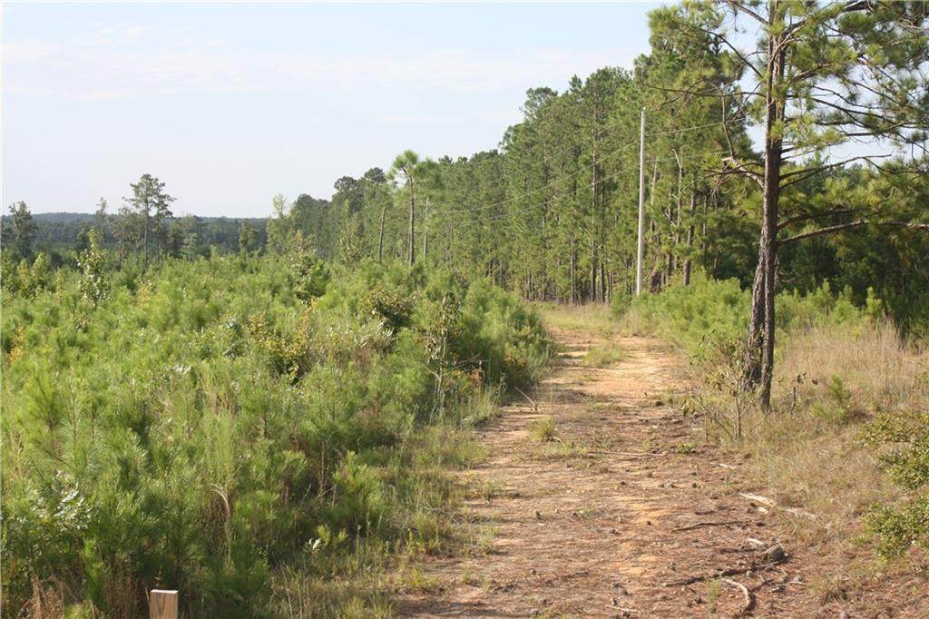 0 Balerma Church Road - Photo 1