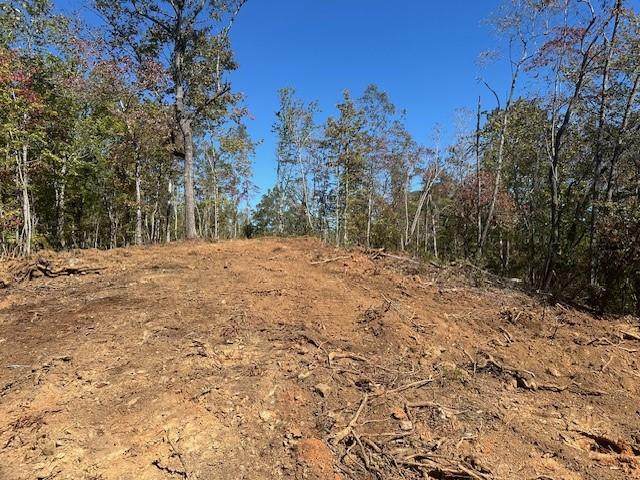3.71 Yancy Drive - Photo 1