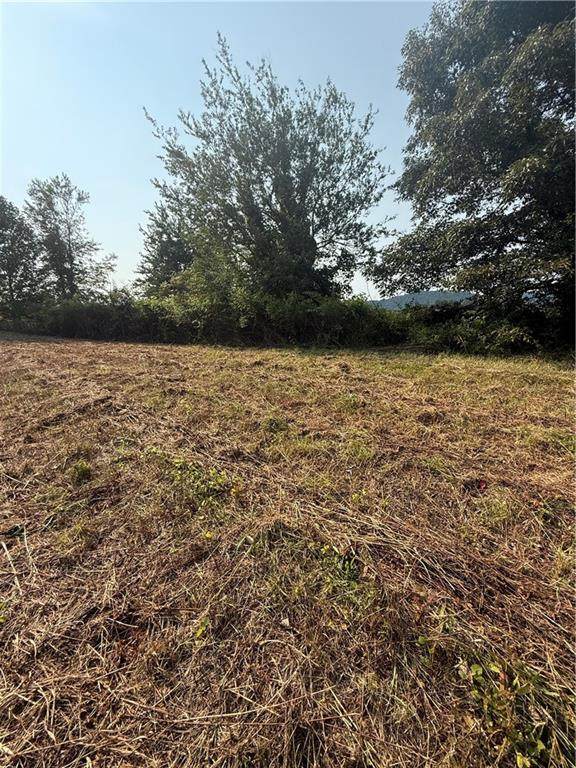 00 Ridgemont Lane - Photo 1