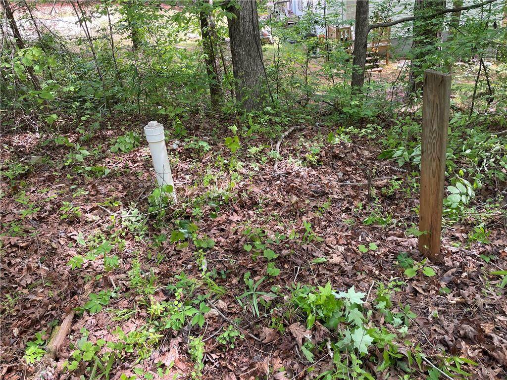 225 White Birch Drive - Photo 1