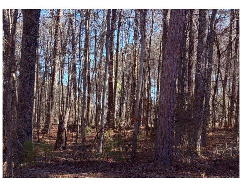 3297 Lakeview Parkway - Photo 1