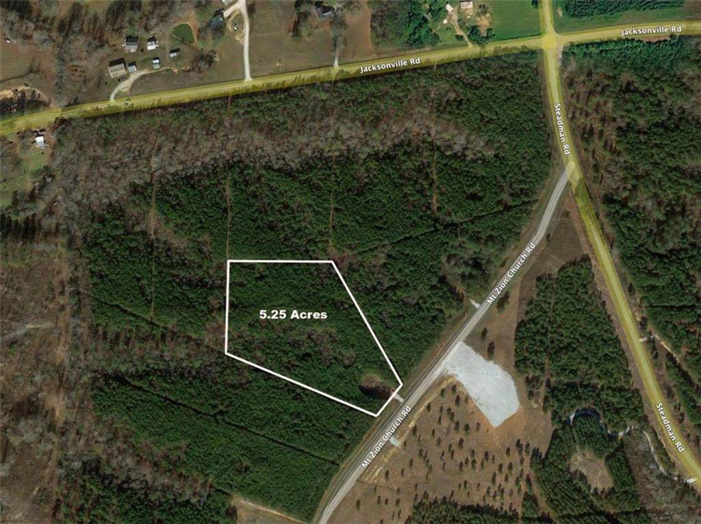 0 Mt. Zion Church Road - Photo 1