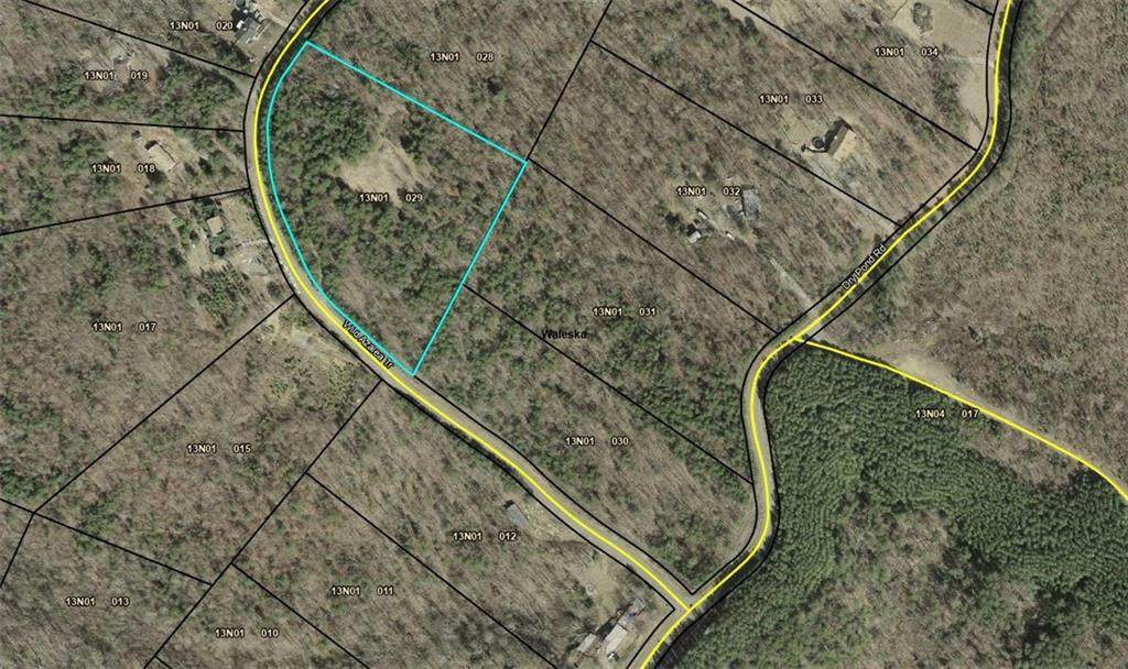 330 Wild Azalea Trail - Photo 1