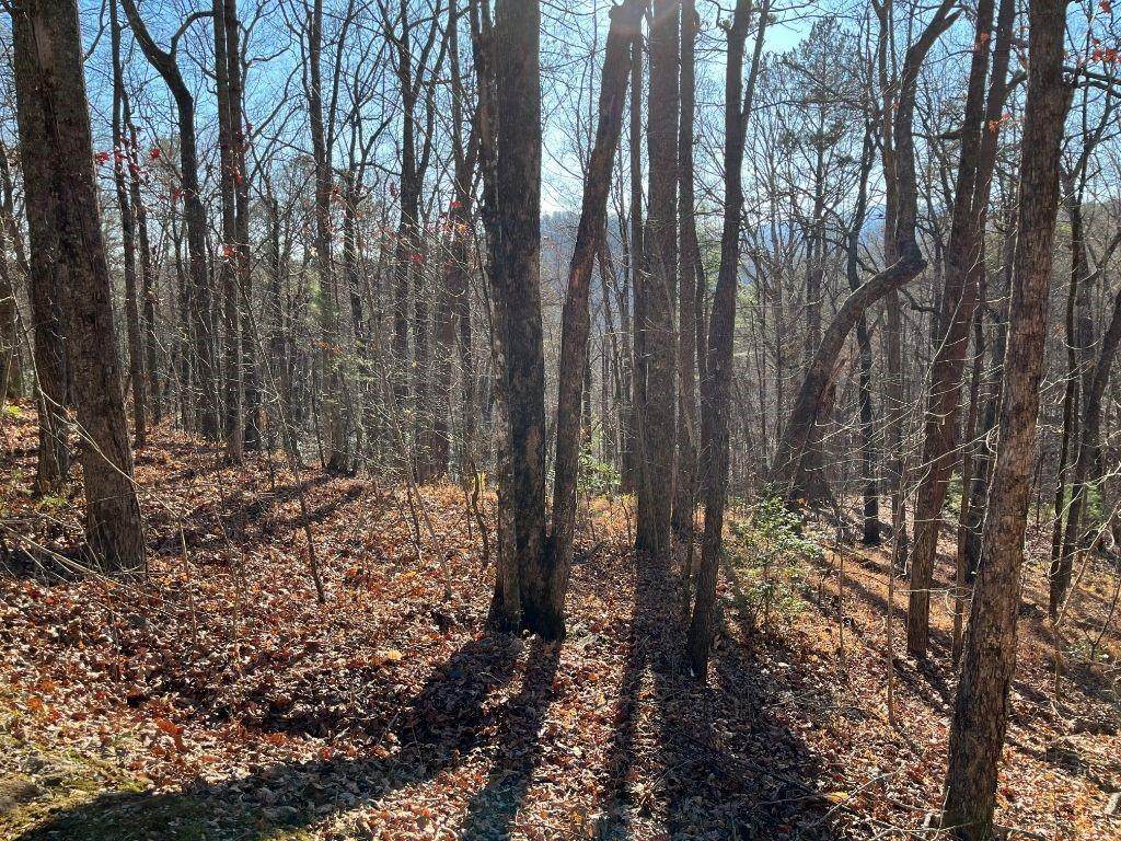 LOT #1 Forest Canopy Way - Photo 1