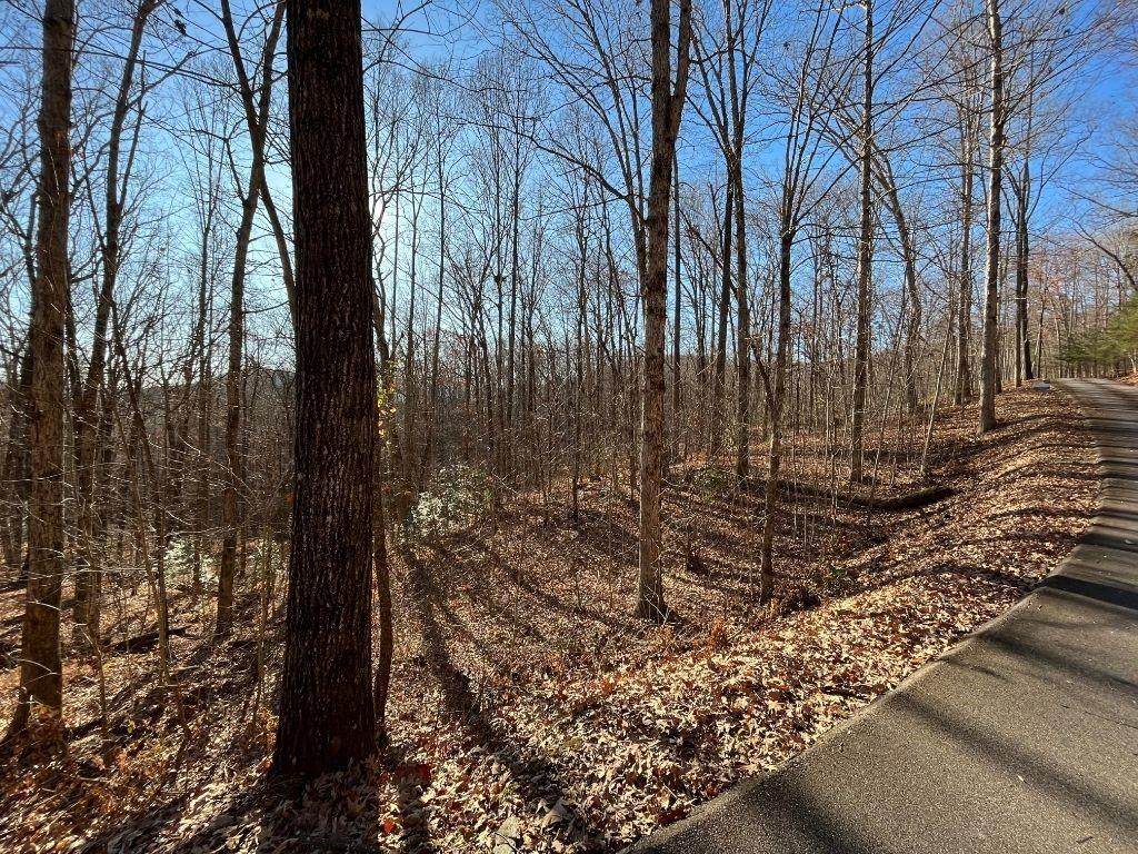 LOT #2 Forest Canopy Way - Photo 1