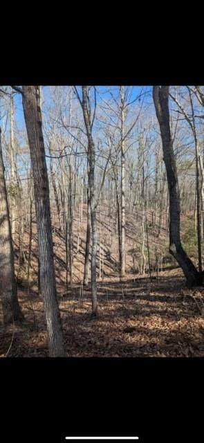 3216 Boulder Brook Drive - Photo 1