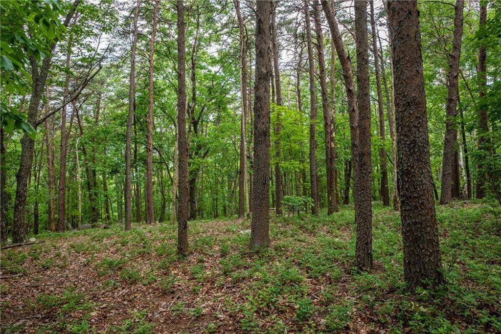 206R Mystic Trail Lane - Photo 1