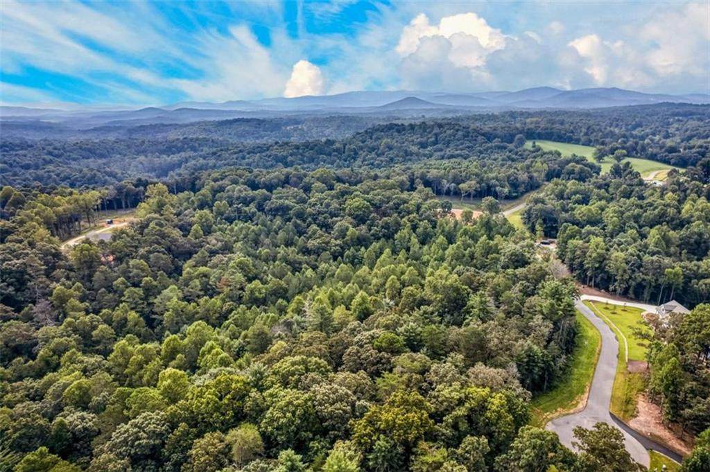 LOT 14 Clear Creek Preserve Way - Photo 1