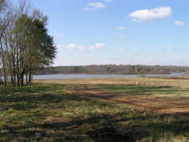 LOT 29 Shoreline Drive - Photo 1