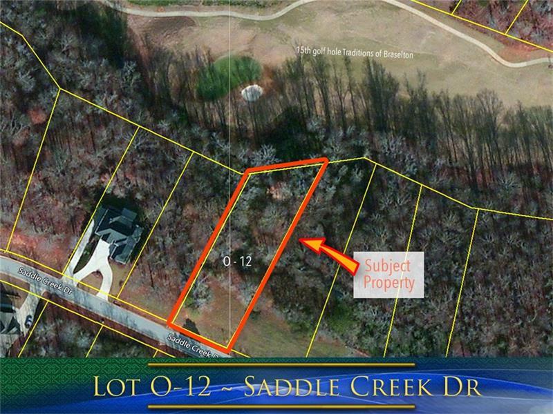 Lot 12 Saddle Creek Drive - Photo 1
