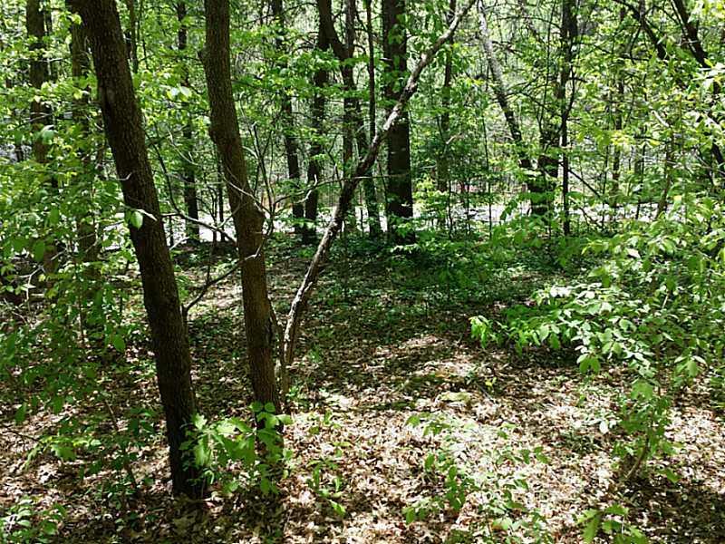 6935 Crystal Cove Trail - Photo 1