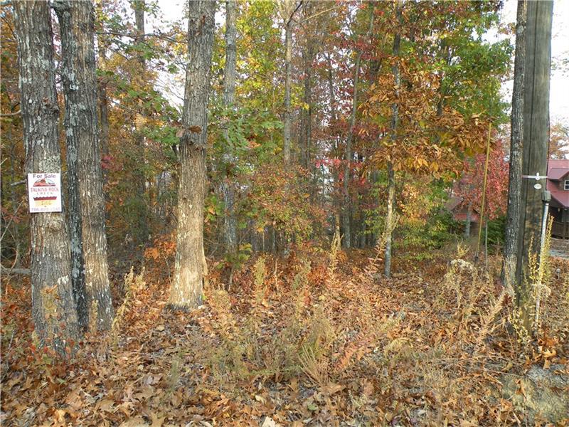 1365 Fox Hound Trail - Photo 1