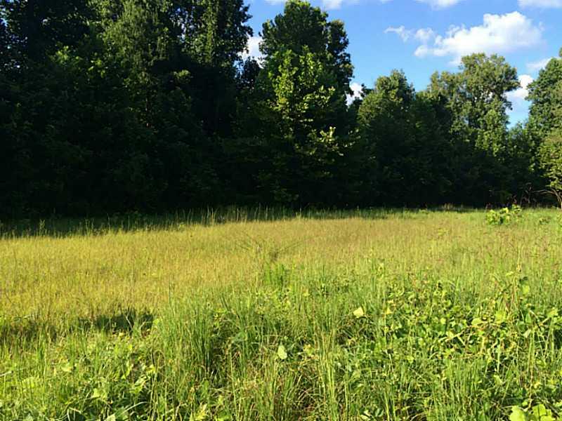 0 Morrison Moore Parkway - Photo 1