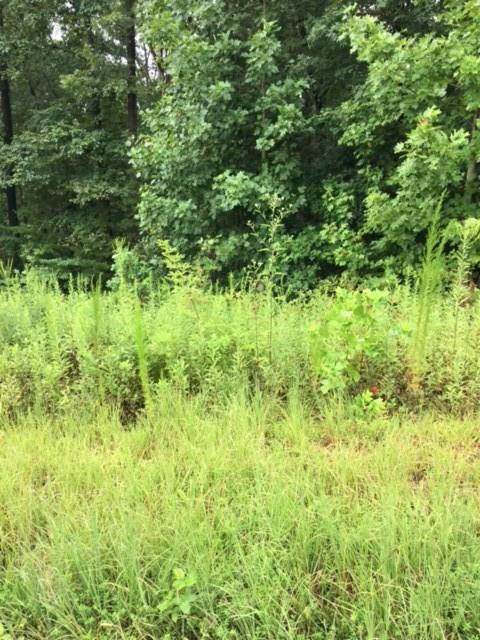 0 Robin Hood Drive - Photo 1