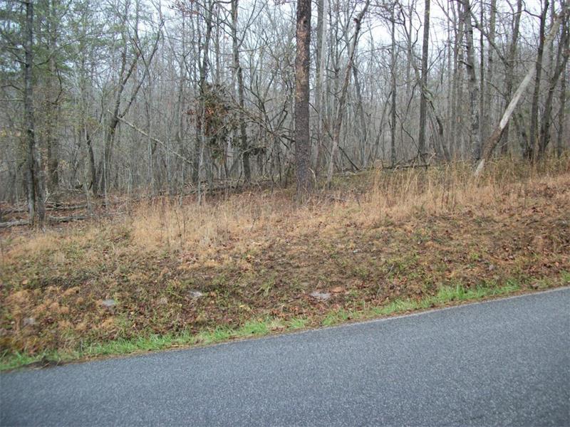 Lot 14 Crystal Springs - Photo 1