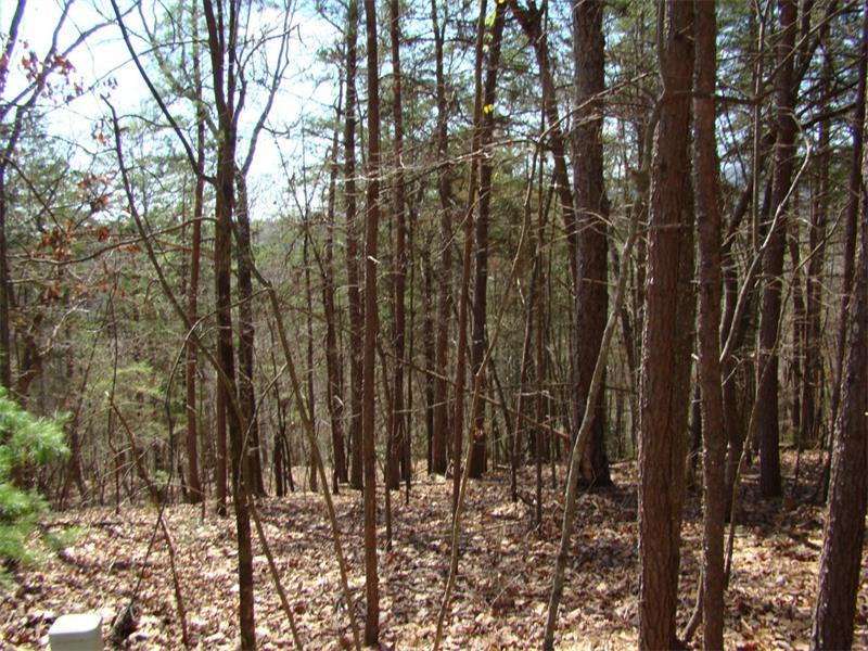 Tr C Hound Dog Lane - Photo 1