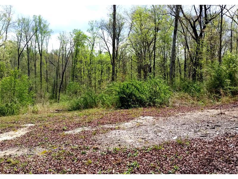 4271 Three Bridges Road - Photo 1