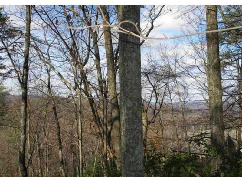 3023 Wild Turkey Bluff - Photo 1