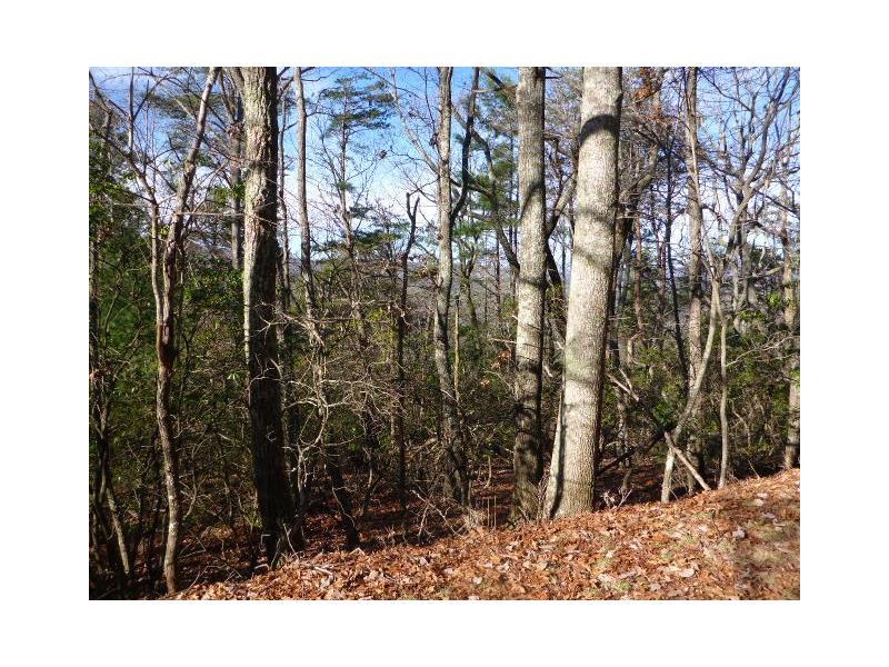 3008 Wild Turkey Bluff - Photo 1