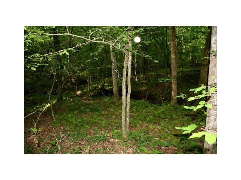 0 Off Of Falling Pines Road - Photo 1