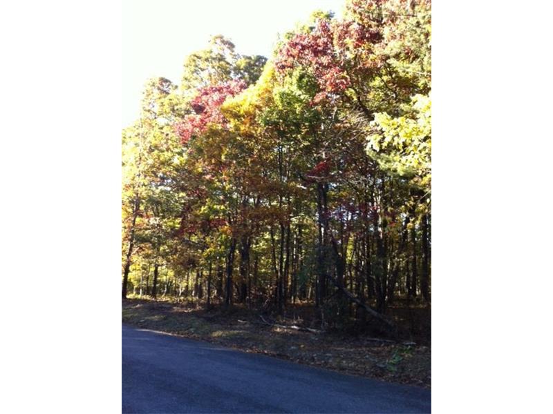 263 Maple Lane - Photo 1