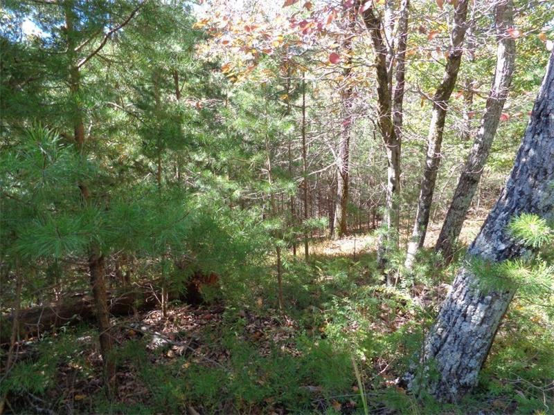 2474 Wedgewood Drive - Photo 1