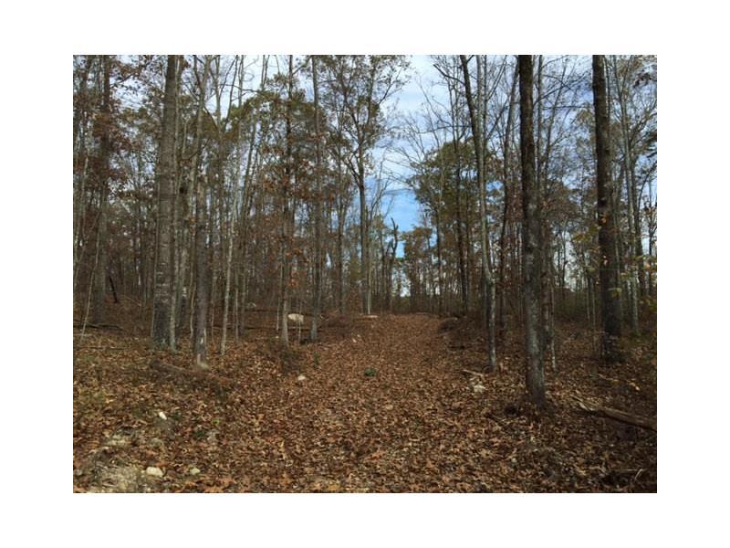 0 Wayside Road, Kingston, GA 30145 (MLS #5619258) :: North Atlanta Home Team