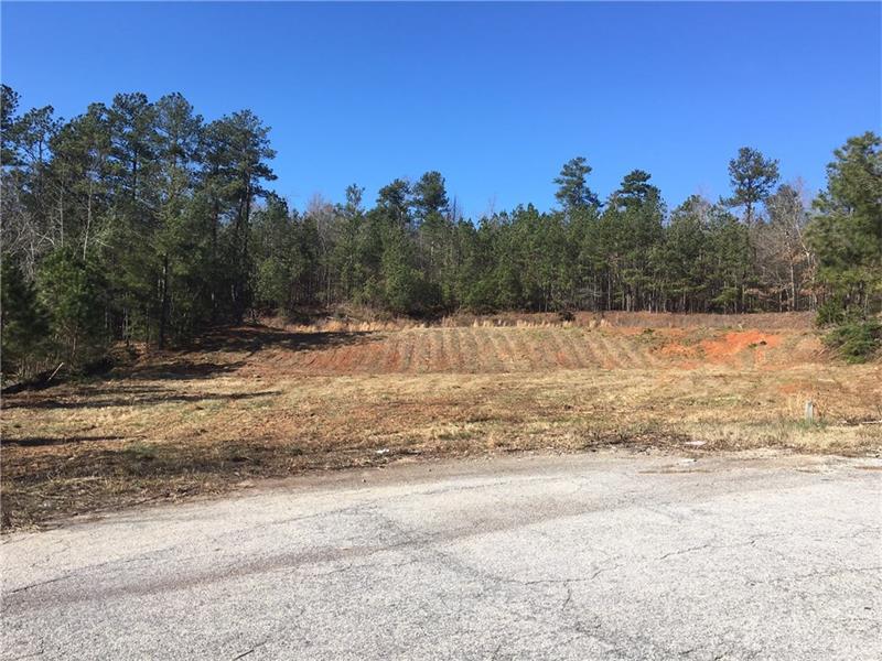 4217 Mundy Mill Place - Photo 1