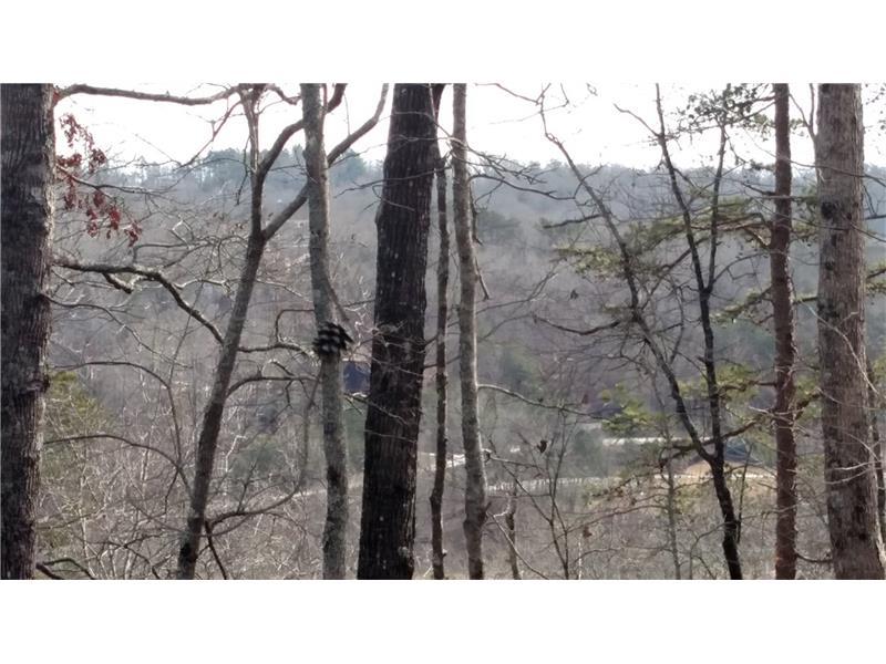 1001 Bear Paw Ridge - Photo 1