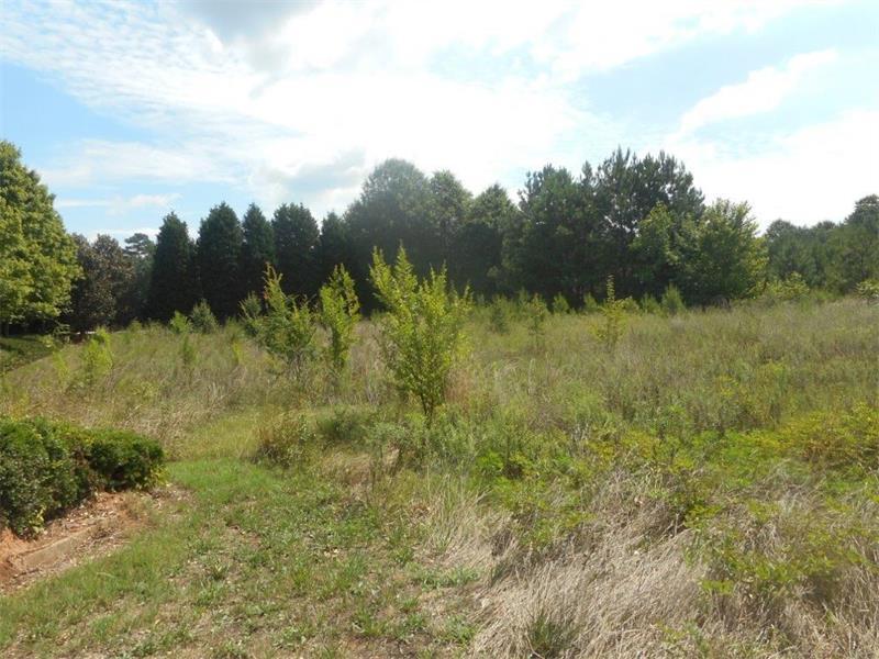2490 Mount Zion Parkway - Photo 1