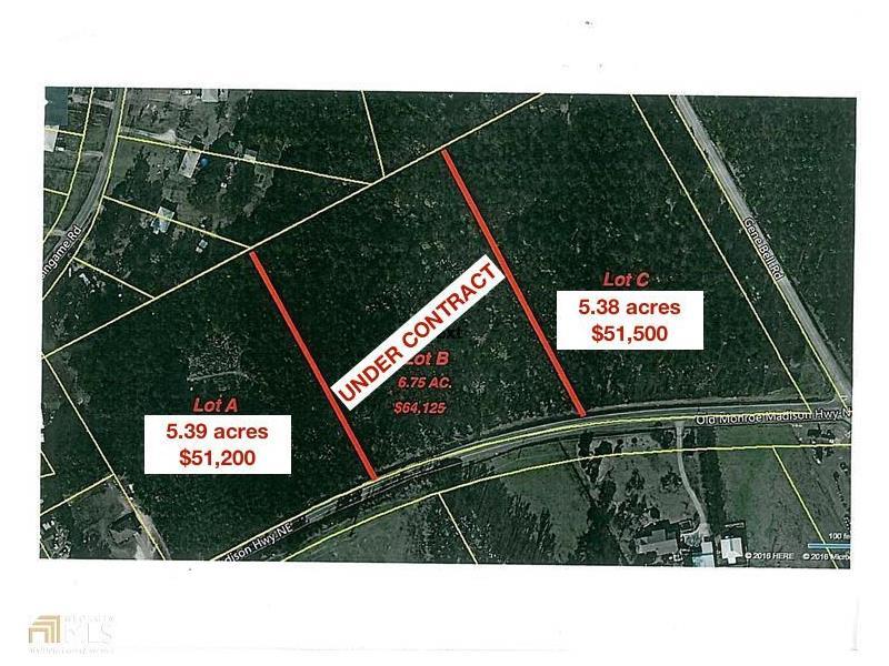 1240C Old Monroe Madison Highway - Photo 1