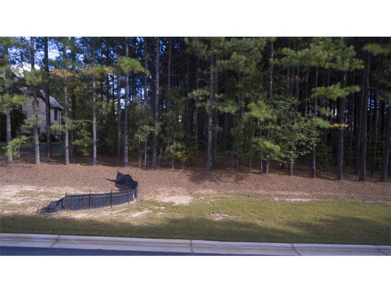 869 Crescent River Pass - Photo 1