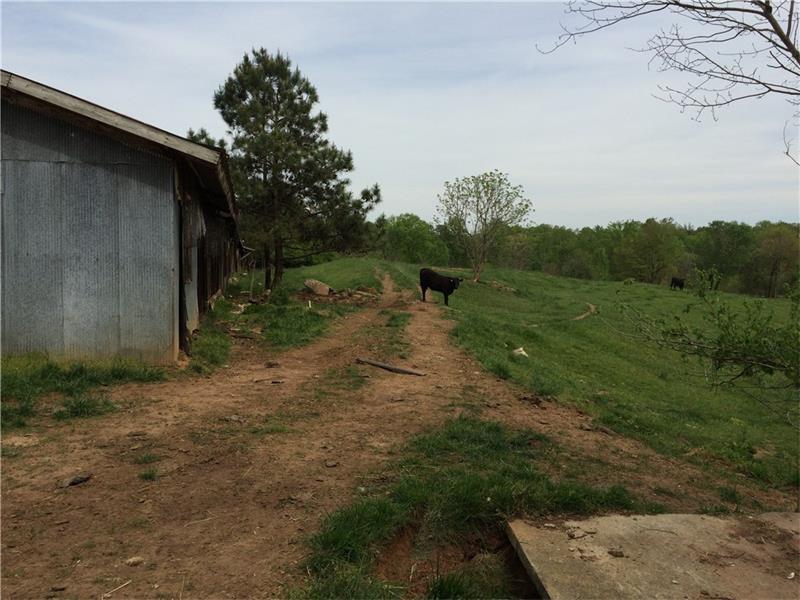 6316 Clermont Highway - Photo 1