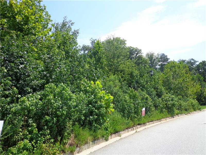3954 Alderwoods Drive - Photo 1