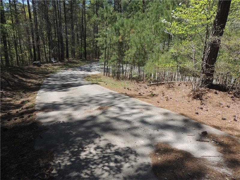 2056 Cole Lake Road - Photo 1