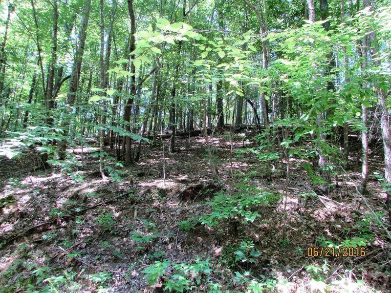 789 EM Omen Circle, Ellijay, GA 30540 (MLS #5710054) :: North Atlanta Home Team