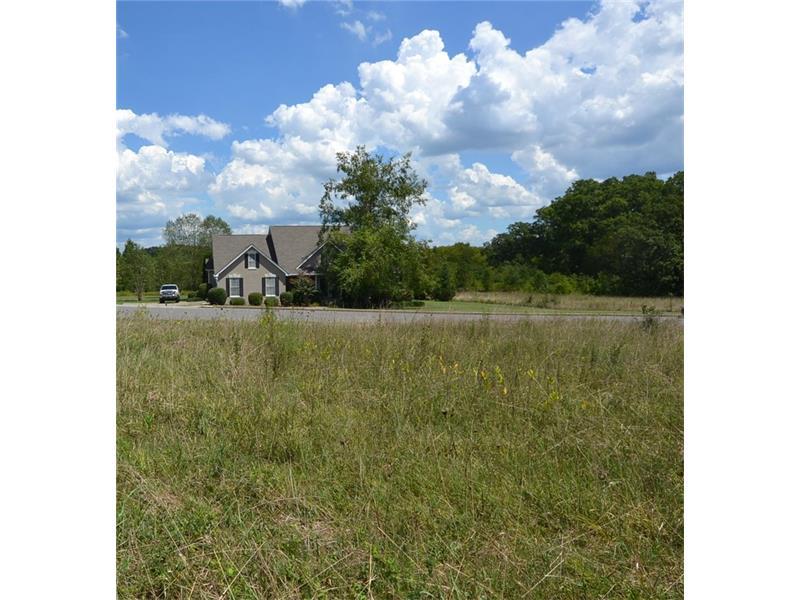 00 Fields Ferry Drive - Photo 1