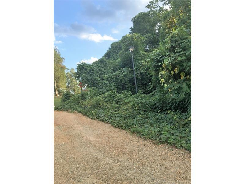 0 Renee Road, Pendergrass, GA 30567 (MLS #5728560) :: North Atlanta Home Team