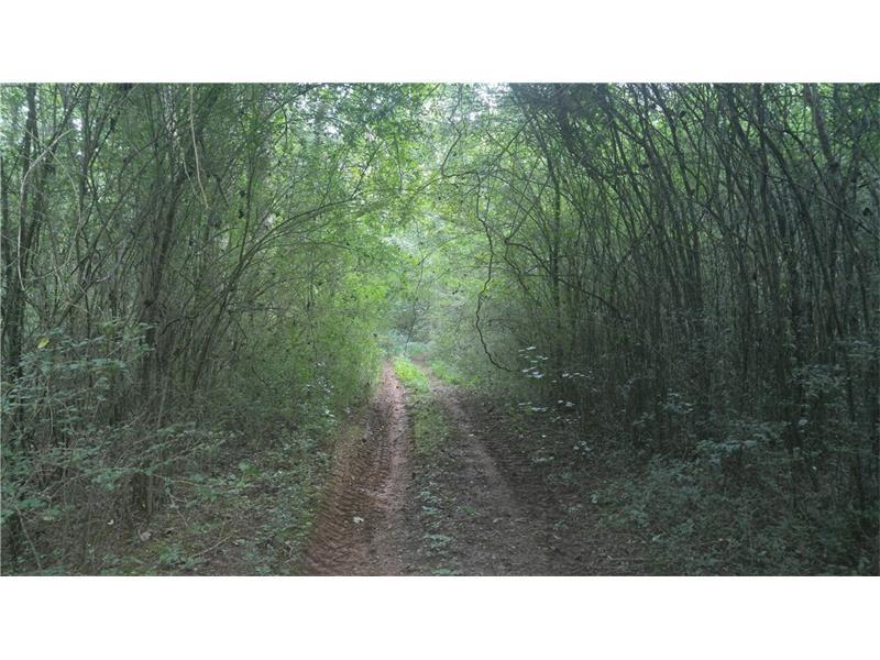 00 Hwy 19 Highway - Photo 1
