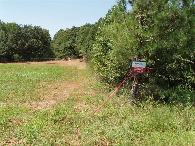 0 Reggie Ingram Road - Photo 1