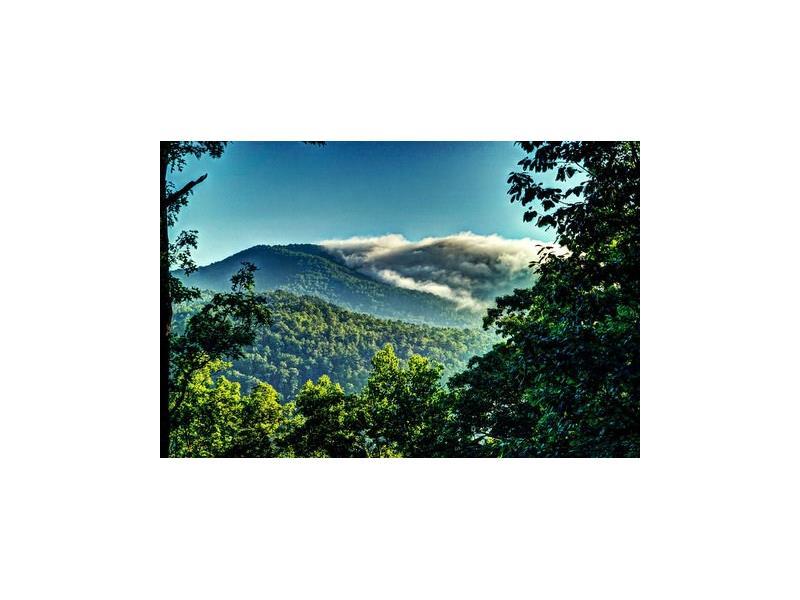 694 Bent Laurel Ridge Road, Clayton, GA 30525 (MLS #5749164) :: North Atlanta Home Team