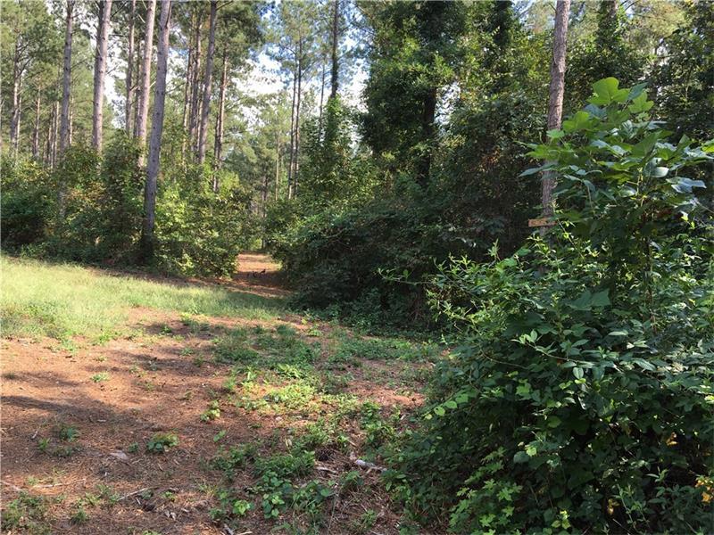 0 Reavis Mountain Road, Ball Ground, GA 30107 (MLS #5752567) :: North Atlanta Home Team