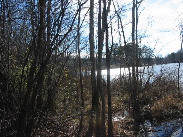 172 Mallard Drive - Photo 1